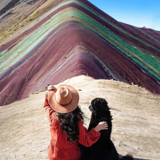 montanha cachorro