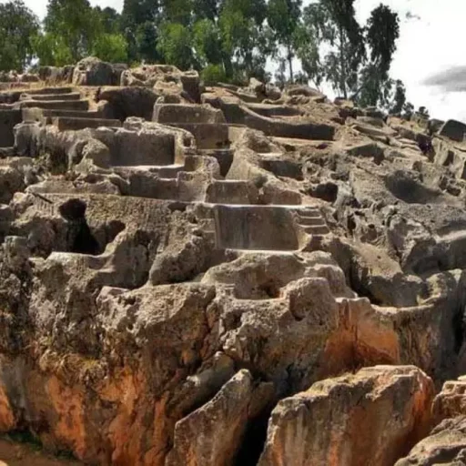 qenqo 2